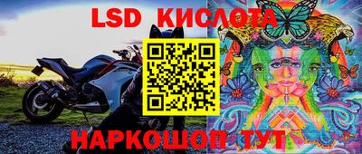 Альфа ПВП Краснознаменск