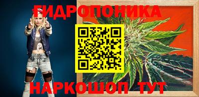 Альфа ПВП Краснознаменск