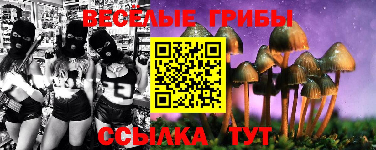 Галлюциногенные грибы Psilocybine cubensis Елизово