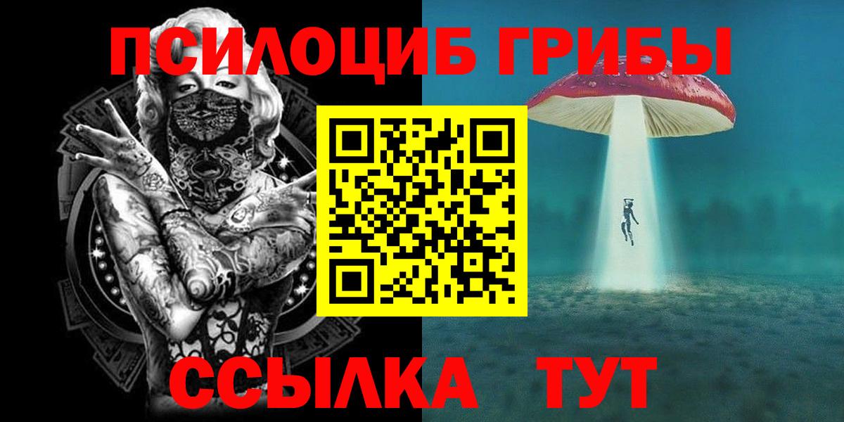 Елизово  где купить наркоту  Вход с VPN  Псилоцибиновые грибы GOLDEN TEACHER  Галлюциногенные грибы мухоморы 
